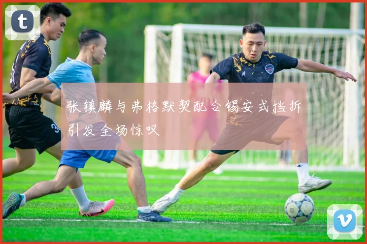 张镇麟与弗格默契配合锡安式挡拆引发全场惊叹