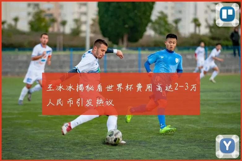 王冰冰揭秘看世界杯费用高达2-3万人民币引发热议