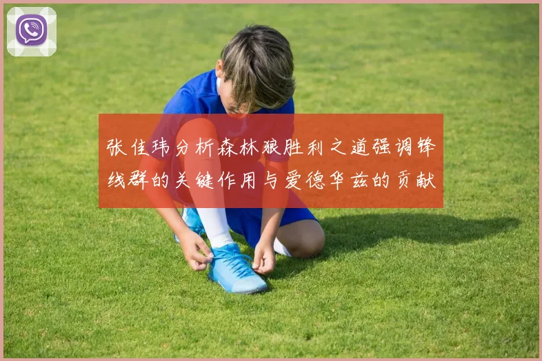 张佳玮分析森林狼胜利之道强调锋线群的关键作用与爱德华兹的贡献