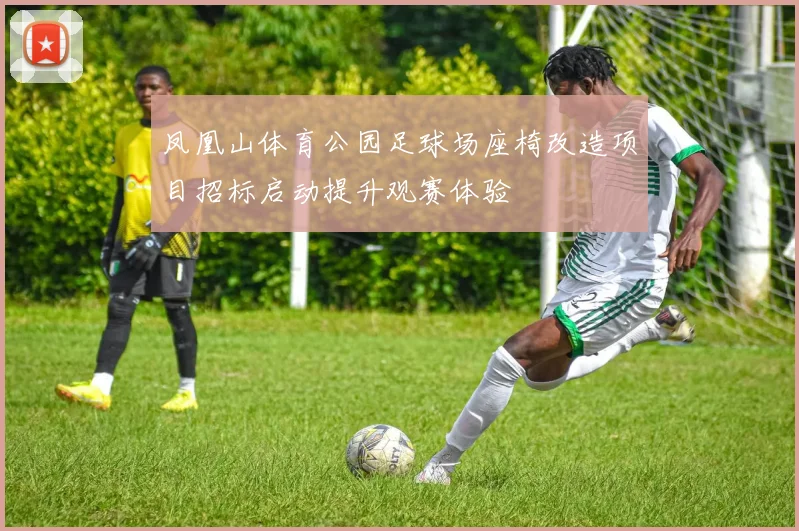 凤凰山体育公园足球场座椅改造项目招标启动提升观赛体验